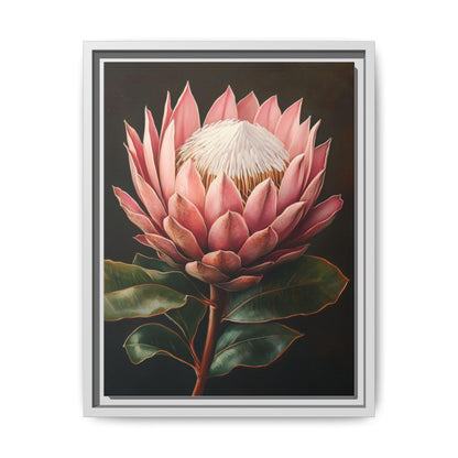 King Protea wall art framed canvas print in a white wood frame