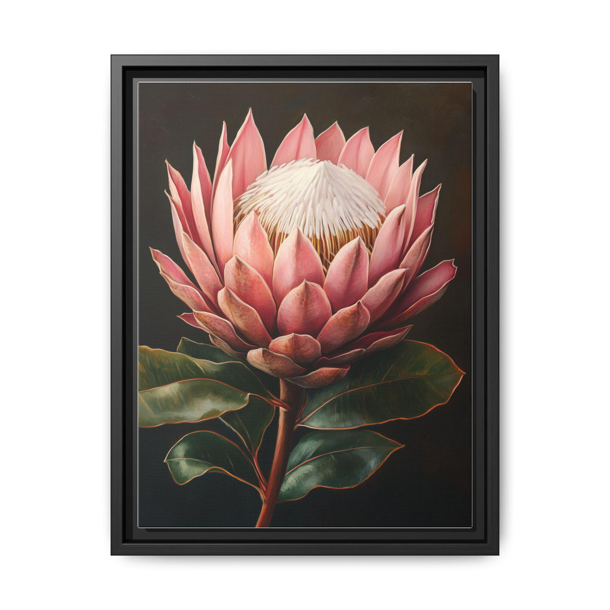 King Protea wall art framed canvas print in a black wood frame