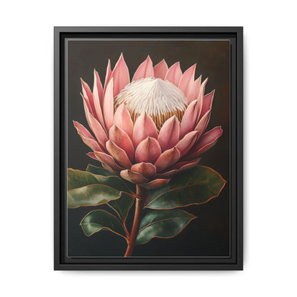 King Protea wall art framed canvas print in a black wood frame