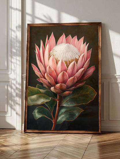 King Protea wall art: a single bloom opening in dusty rose and cream