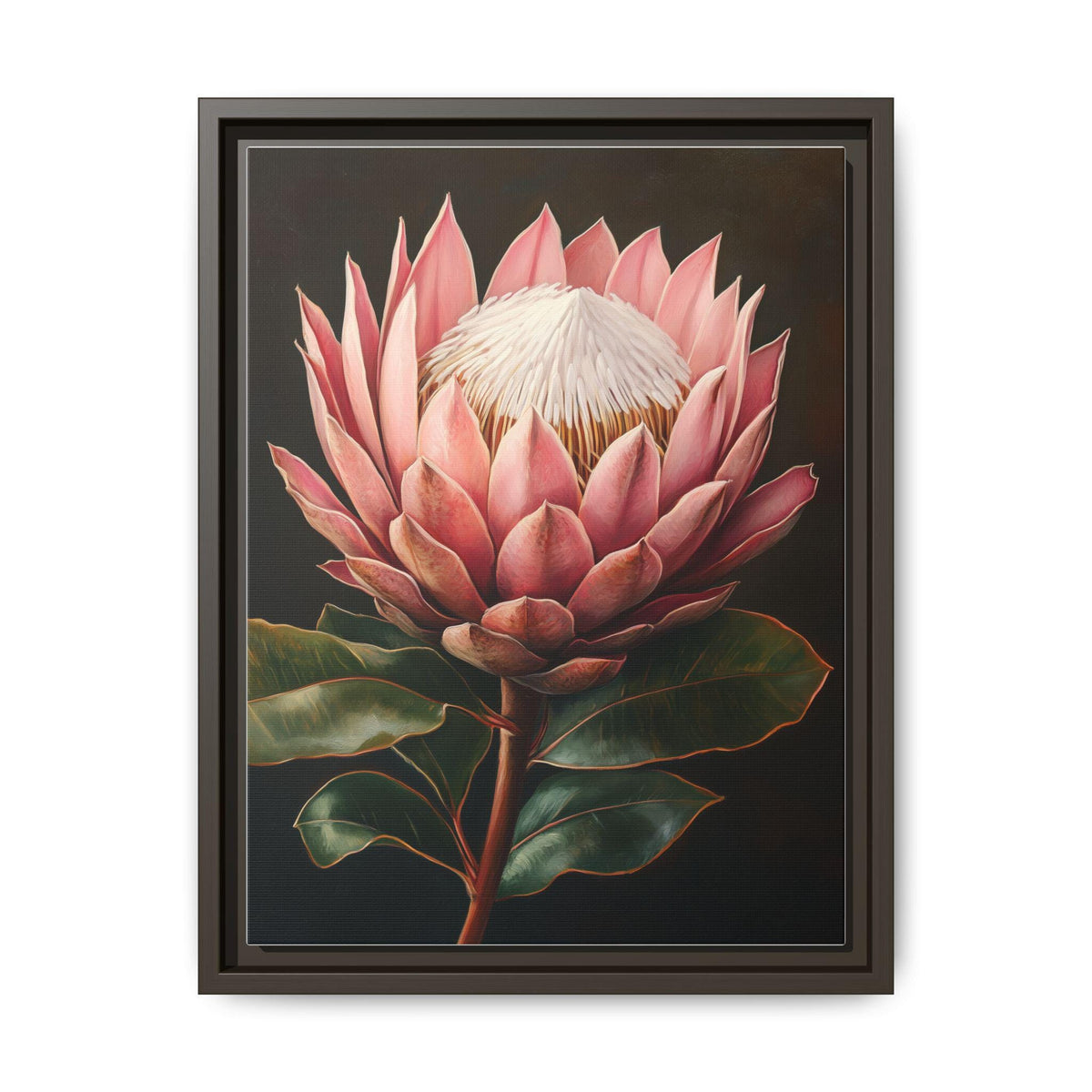 King Protea wall art framed canvas print in an espresso wood frame