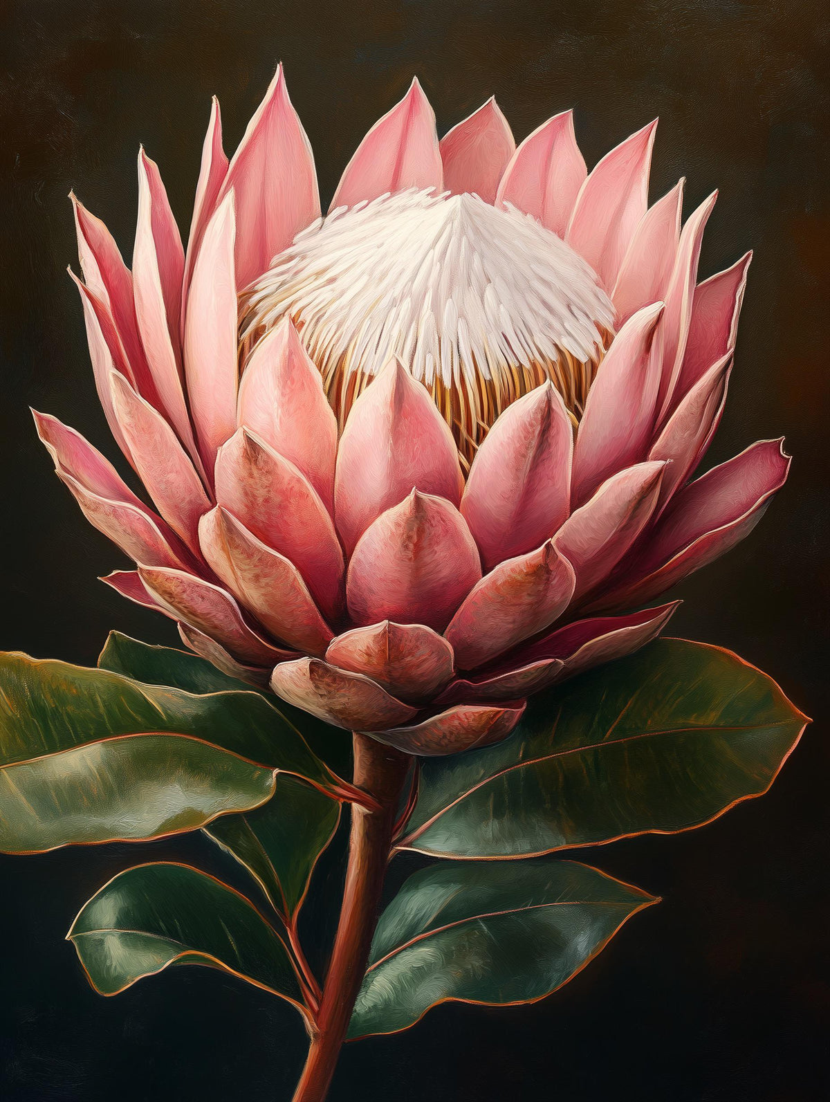 Painterly protea canvas print with petals arranged around a deliberate centre